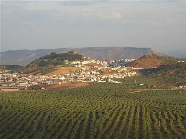 Hotel Casa Marchena Vilches 0*,